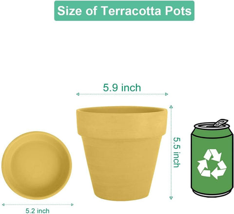 vensovo 6 Inch Yellow Terracotta & Clay Pots with Saucer, 4 Pack