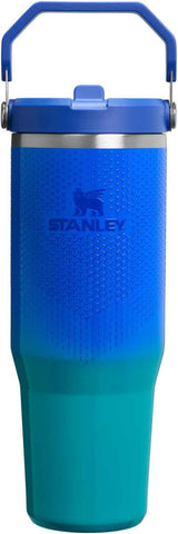 STANLEY IceFlow 2.0 Flip Straw Tumbler, 30 oz, Pacific Hypergrip