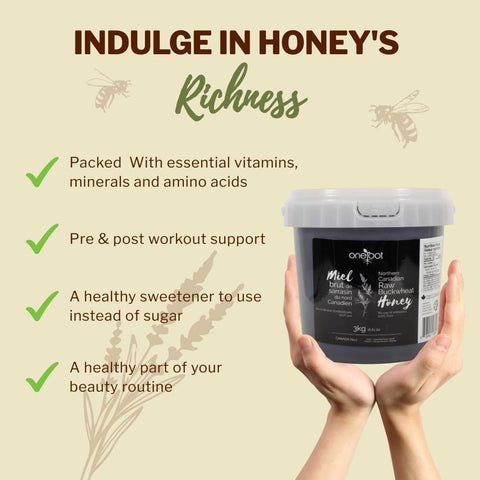 OneRoot Raw Buckwheat Honey – 6.6 lbs, Unheated & Unprocessed Dark – Nutrient-Rich, Antioxidant-Packed Natural Sweetener – Pure & Unfiltered Honey