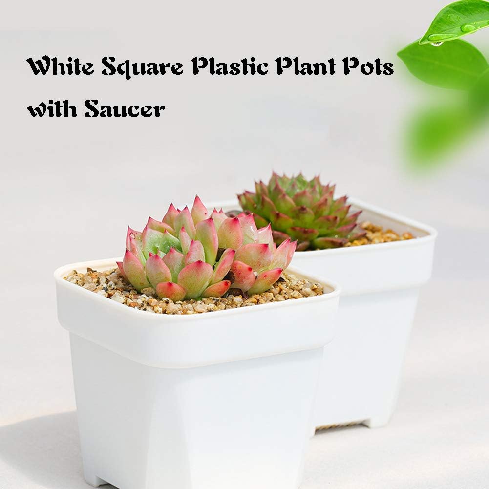 24 Pack 3 Inch White Square Plastic Plant Pots with Saucers,Nursery Seedling Pots with Drainage Hole,Small Planter Containers for Succulents,Flowers,Indoor Outdoor Garden,Home Office Balcony Decor