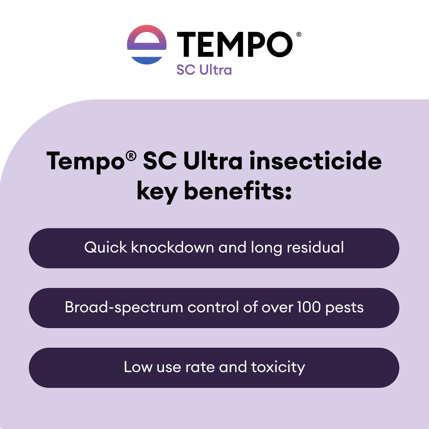 Tempo SC Ultra Insecticide Concentrate 240 ml | Fast-Acting Residual Pest Control | Liquid Indoor/Outdoor Bug Killer | Broad-Spectrum Control for Ants, Spiders, and Other Crawling Insects.