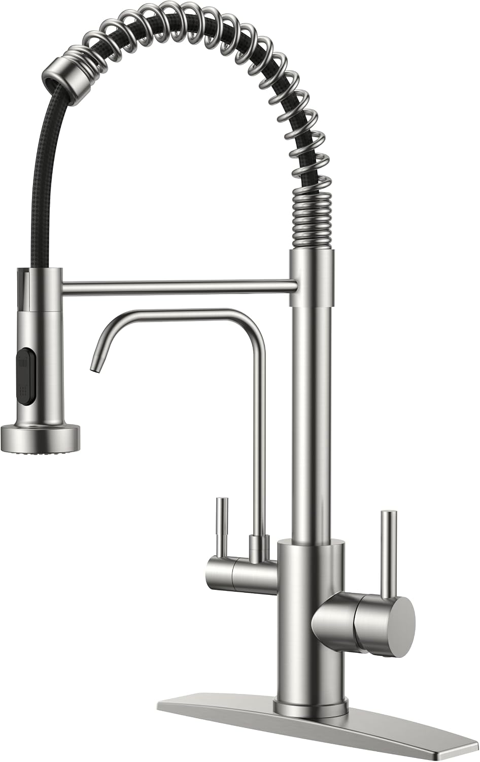 FORIOUS Kitchen Faucet with Purfied Water Filter, 2 Handle, Brushed Nickel