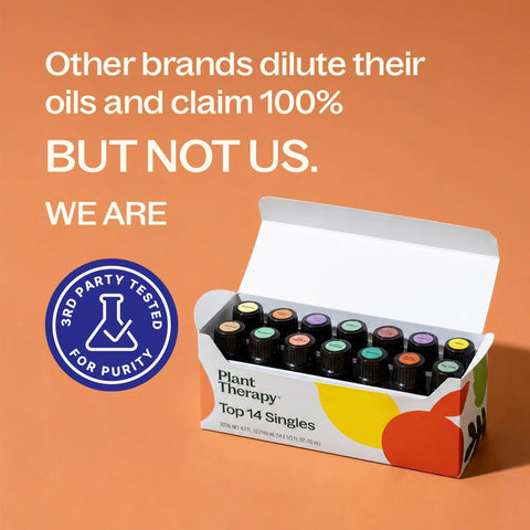 Plant Therapy Top 14 Essential Oil Set, 10 mL (1/3 oz)