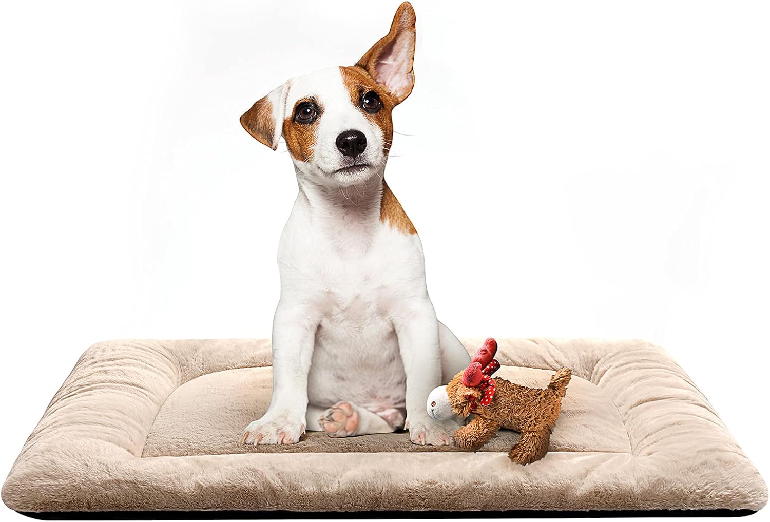 Dog Crate Pad Washable Dog Bed for Crate Small Cozy Mat 24-Inch Camel