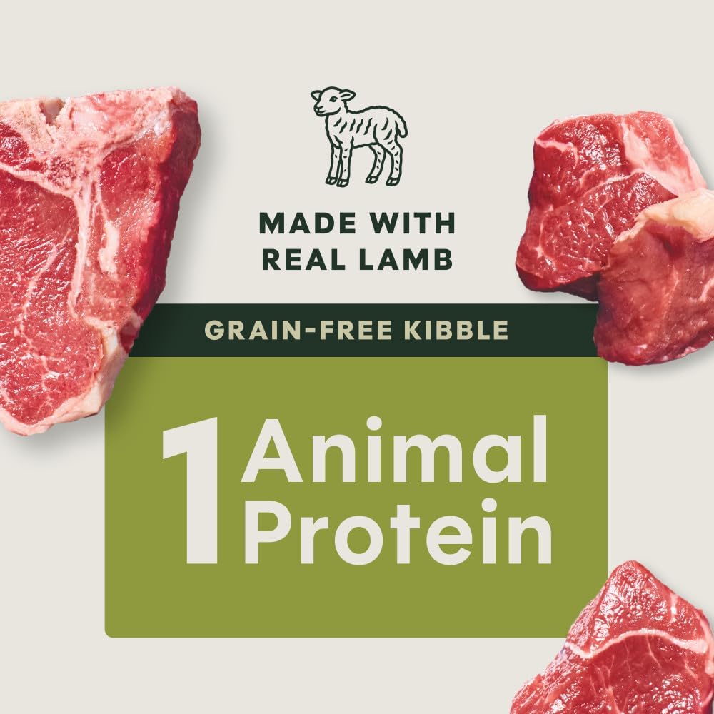 Instinct Limited Ingredient Diet Dry Dog Food, Real Lamb, 20 lb. Bag