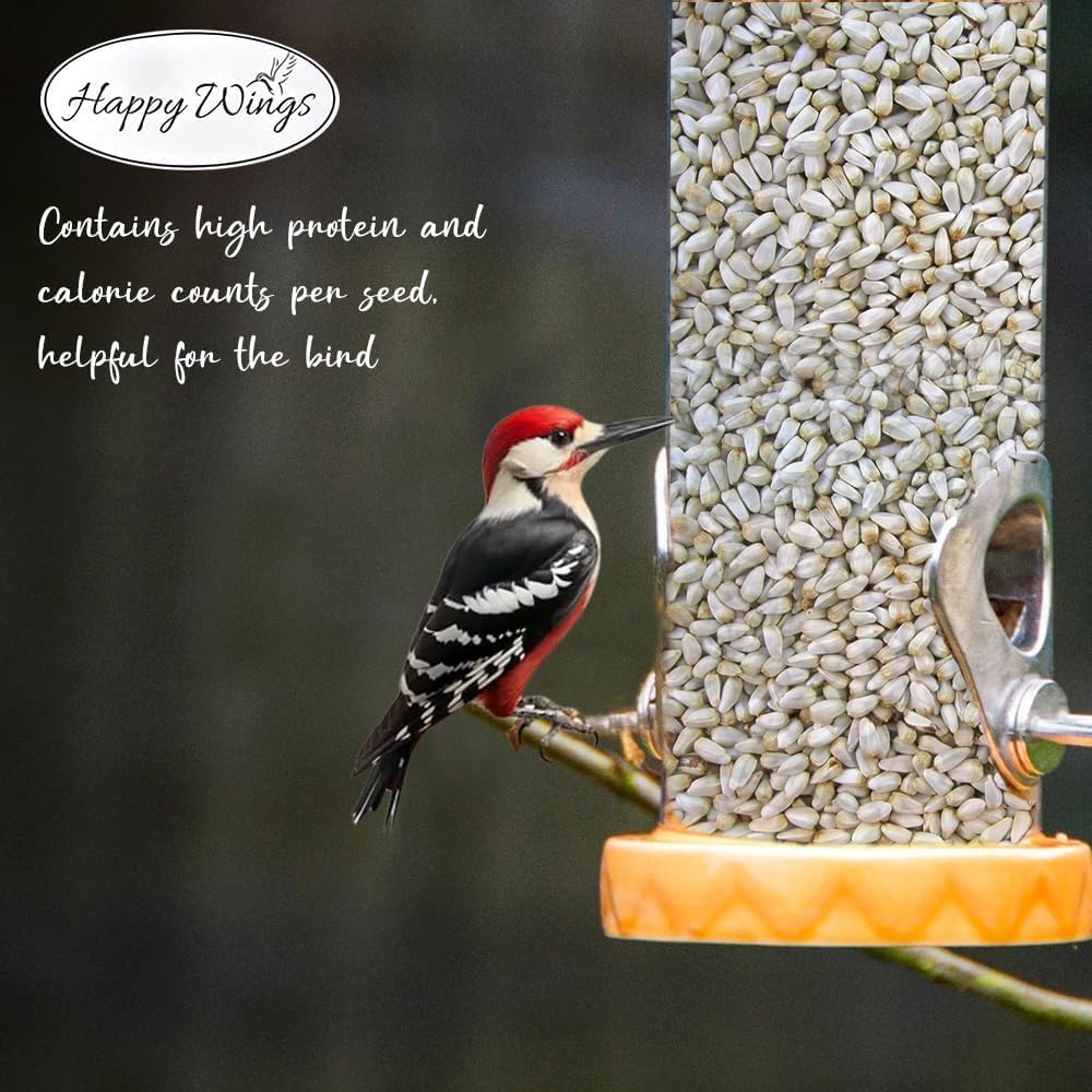 Happy Wings 10LB Safflower Seed Bird Food, Attracts Finches & Songbirds