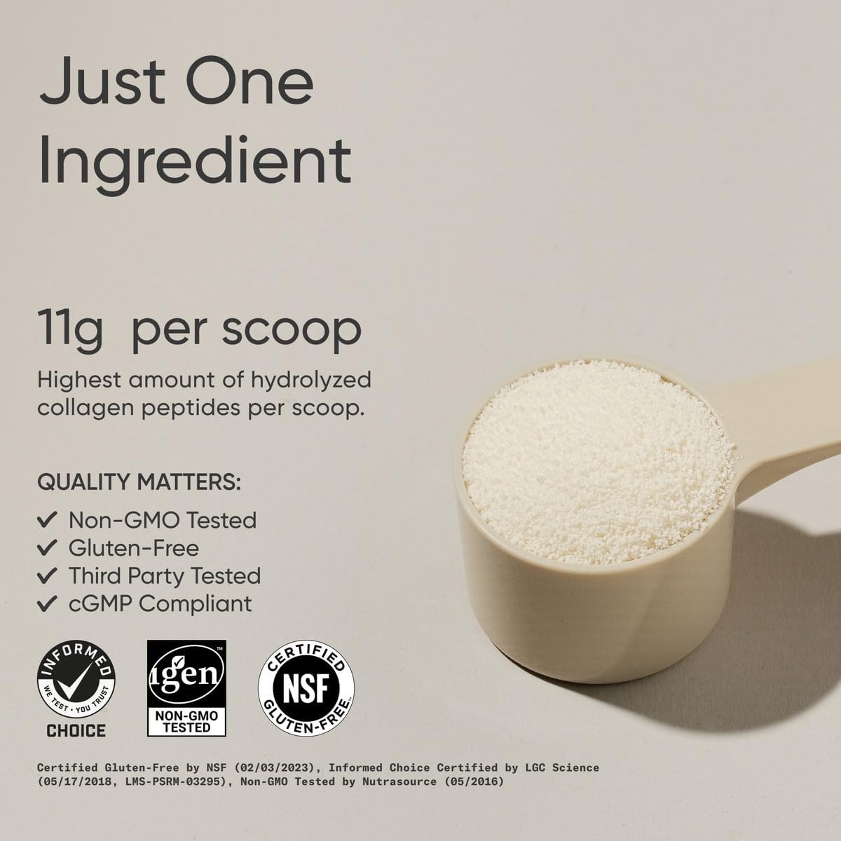 Sports Research® Collagen Peptides Protein Powder 16oz (Unflavored)