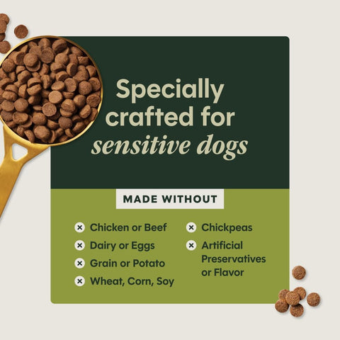 Instinct Limited Ingredient Diet Dry Dog Food, Real Lamb, 20 lb. Bag
