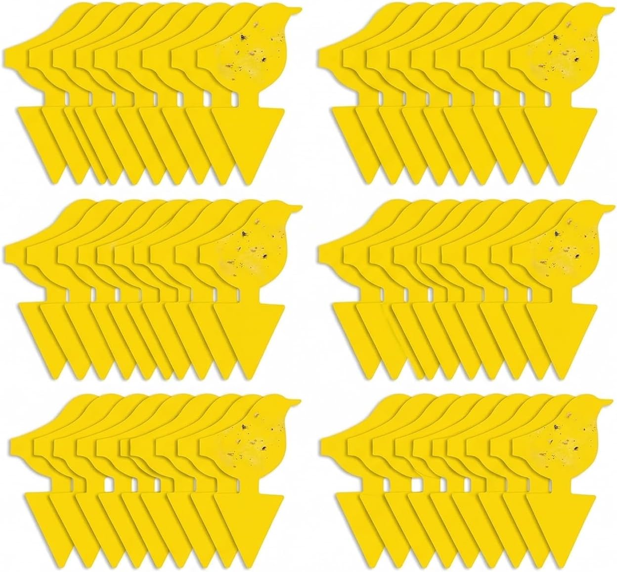Kate's Home & Garden 60 Count Fruit Fly Traps for Indoors and House