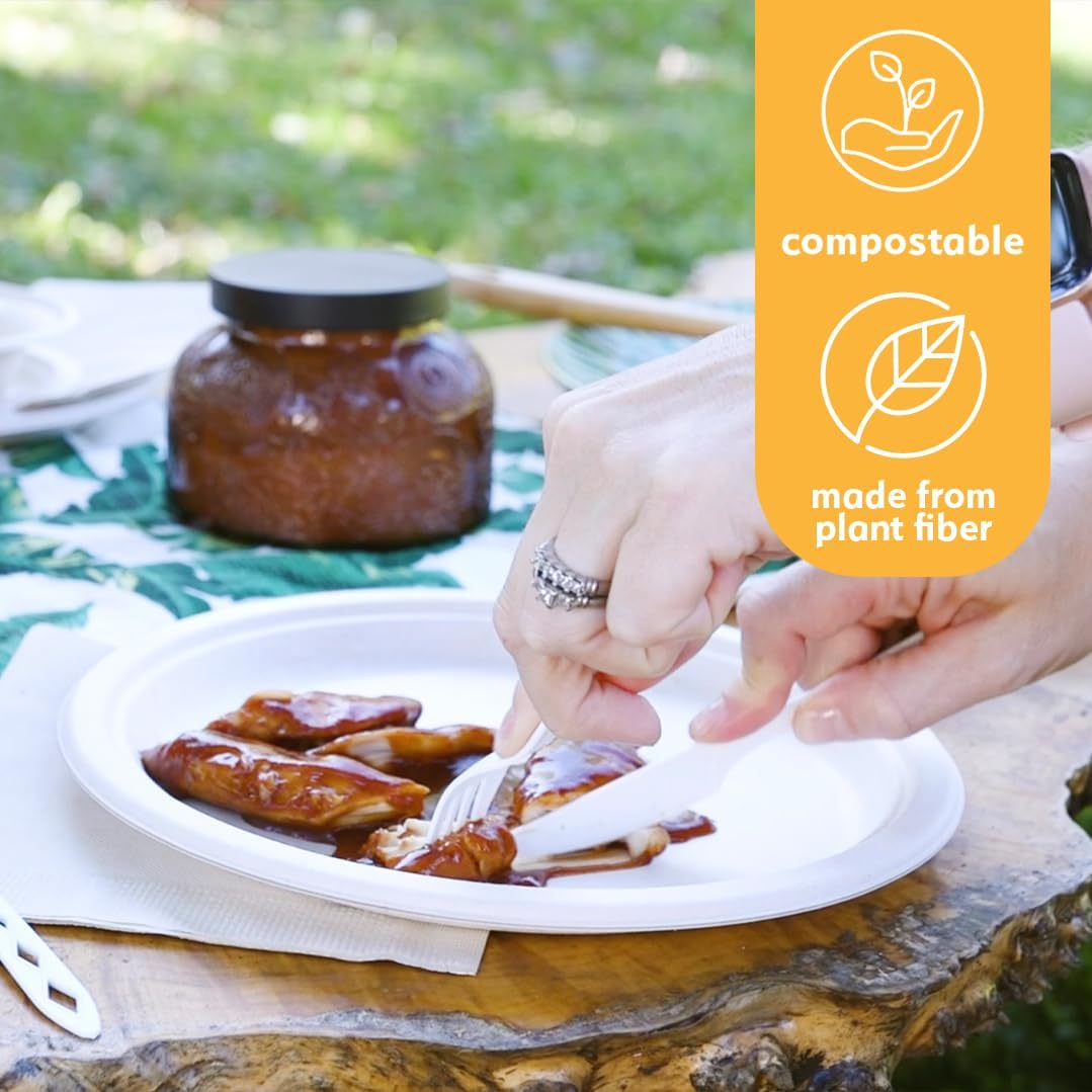 100% Compostable Disposable Paper Plates Bulk [9" 125 Pack], Bamboo Plates, Eco Friendly, Biodegradable, Sturdy Large Dinner Party Plates, Heavy-Duty, Unbleached by Earth's Natural Alternative