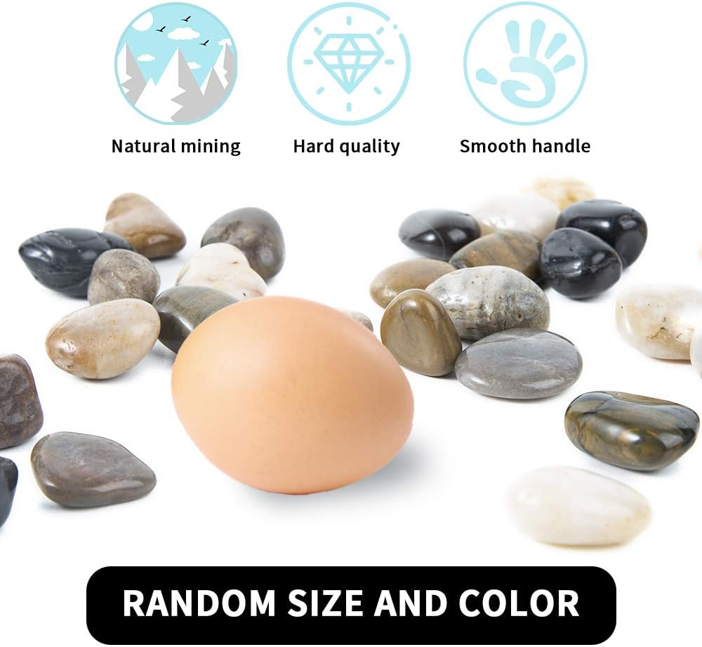 Pebbles Polished Gravel, Natural Polished Mixed Color Stones,0.5-1.2inch Small Decorative River Rock Stones 2 Pounds (32-Oz)