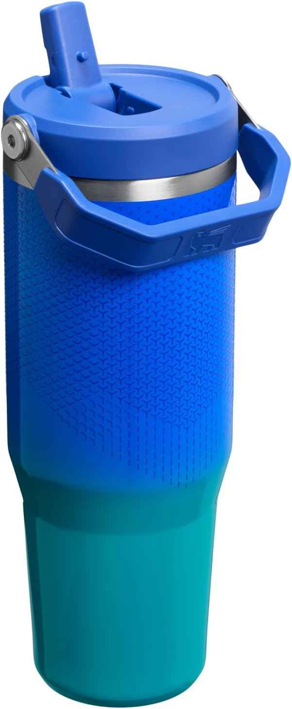 STANLEY IceFlow 2.0 Flip Straw Tumbler, 30 oz, Pacific Hypergrip