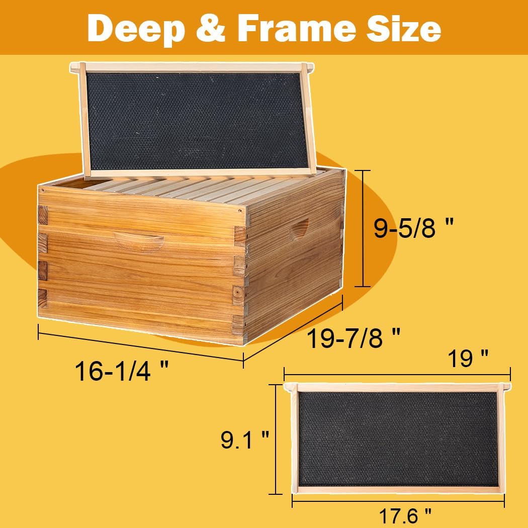 10 Frame Langstroth Beehive Kit Dipped in Heavy Beeswax Bee Hives with 1 Deep Bee Box and 1 Medium Bee Hive Box with Frame and Foundation(Unassembled)
