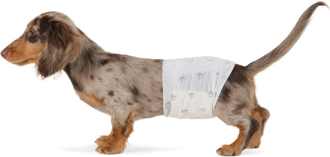 Amazon Basics Absorbent, Leakproof Male Dog Wrap Disposable Diapers with Wetness Indicator, Breathable, Small, White, 50-Pack