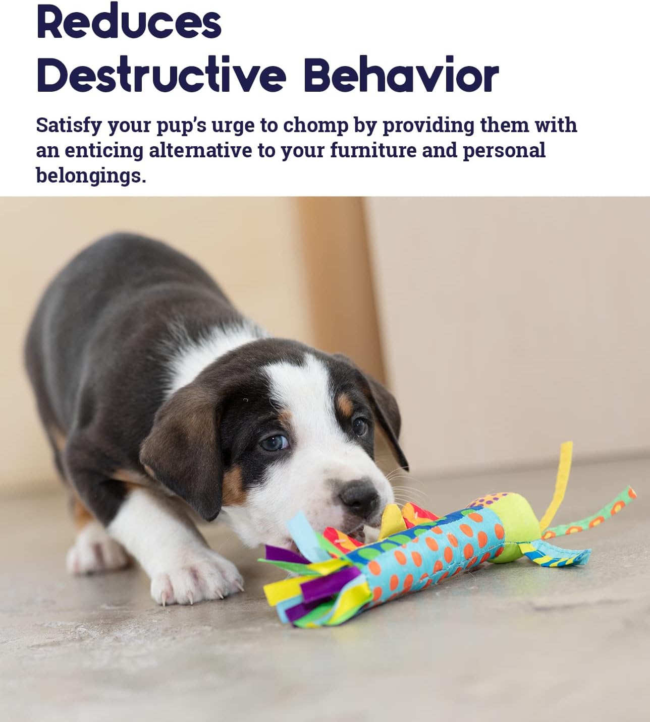 Cool Teething Stick Dental Dog Chew Toy, Soak & Freeze, 8.5"