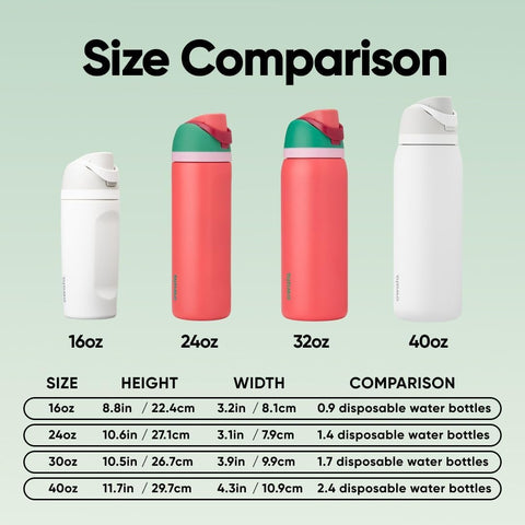 Owala FreeSip Stainless Steel Water Bottle 32 oz Strawberry Fields