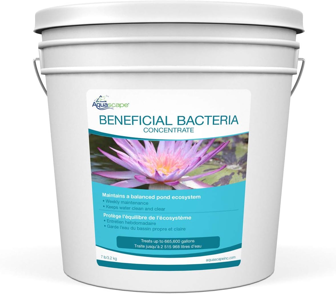Aquascape 98950 Beneficial Bacteria Water Treatment Dry - 3.2 kg/7 lbs for Pond Water Feature Waterfall | Provides Clean, Clear and Healthy Water Conditions and Reduces Pond Maintenance