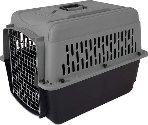 Petmate Aspen Pet Dog, Cat, Chicken Kennel, Medium, Travel Carrier