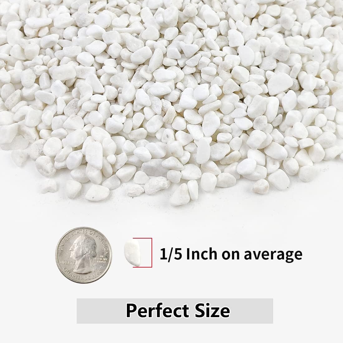YISZM 5LB Succulent and Cactus Gravel Pebbles, 1/5 Inch White Stones