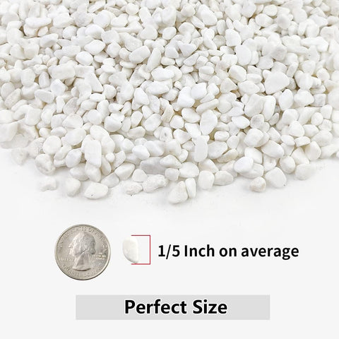 YISZM 5LB Succulent and Cactus Gravel Pebbles, 1/5 Inch White Stones