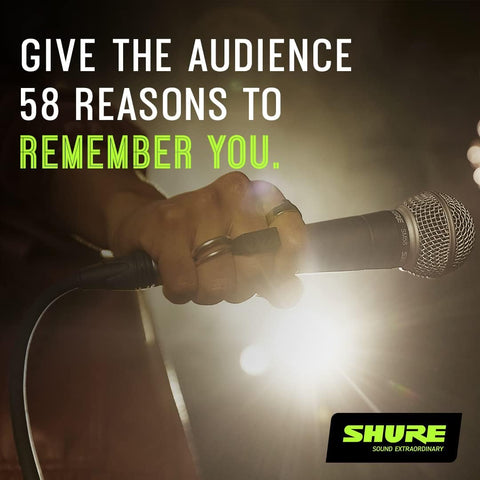 Shure SM58S Pro XLR Dynamic Vocal Microphone with On/Off Switch