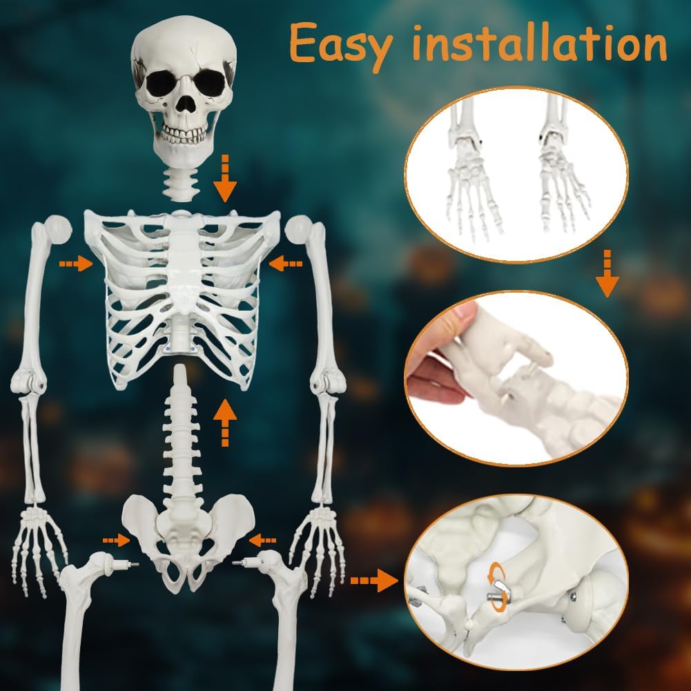 5.9Ft Halloween Life Size Skeleton with Cat for Halloween Party Decor