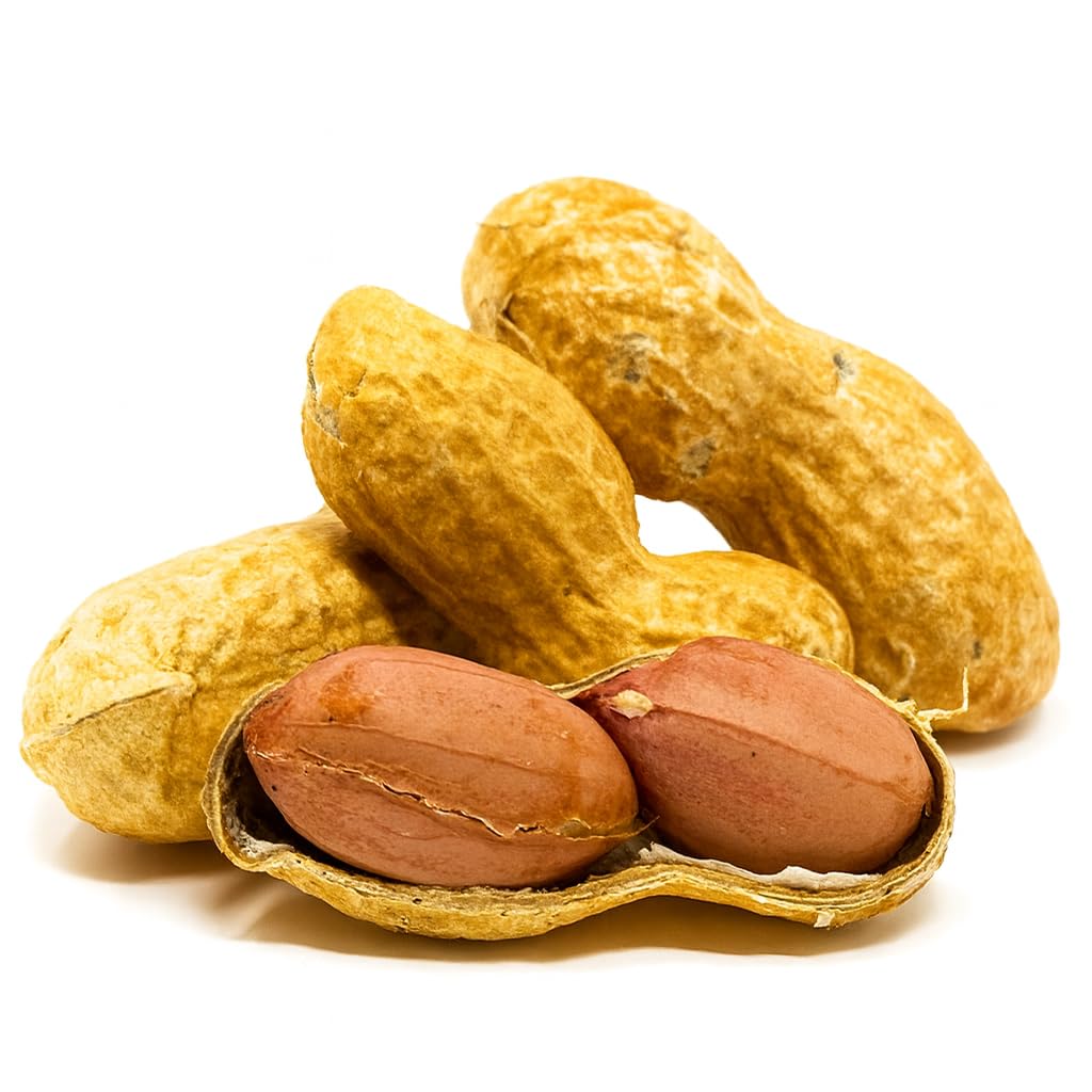 Sky | Premium USA Grown, Raw Peanuts in Shell for Squirrels, 2.5lb | Jumbo Unsalted Peanuts in The Shell.