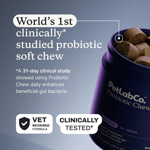 PetLab Co. Probiotic Chews for Dogs, 30 Soft Chews, Salmon
