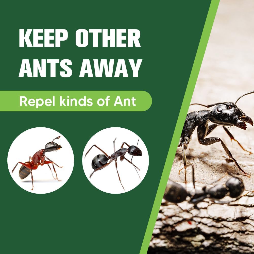Keep Ants Away Repellent Indoor Pet Safe, Get Rid of Ant- 6P