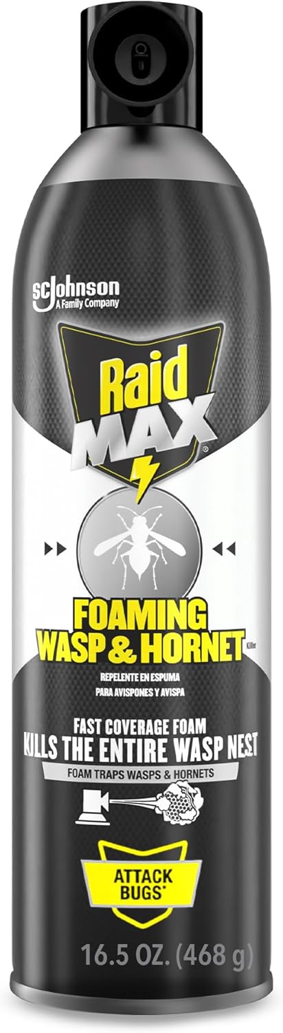 Raid MAX Foaming Wasp & Hornet Killer Bug Spray, 16.5 oz
