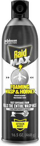 Raid MAX Foaming Wasp & Hornet Killer Bug Spray, 16.5 oz