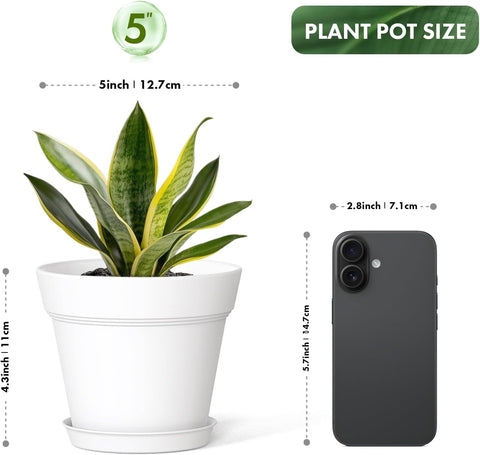 WSMKSZ 5 Inch Plastic Plant Pots with Drainage Holes and Trays – 6 Pack Small Nursery Pots for Indoor & Outdoor House Plants and Flowers, Seedling Starter Planters, White