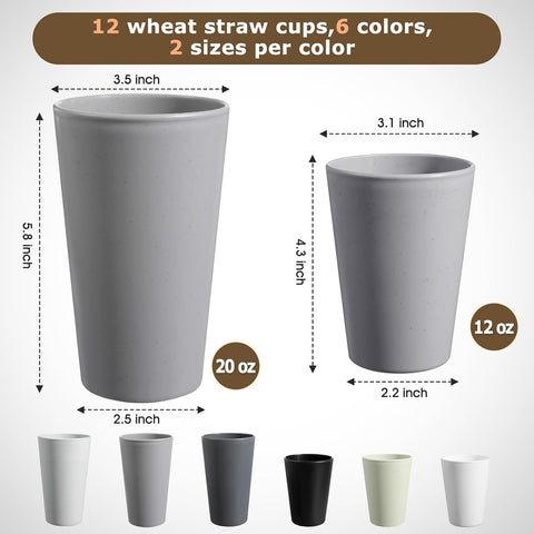 HEYCOME Set of 12 Wheat Straw Cups, 6 Pcs 20 oz & 6 Pcs 12 oz Unbreakable Drinking Cups, Reusable Plastic Cups Sets, Water Glasses Tumblers, Microwave & Dishwasher Safe, Bpa Free, 6 Colors