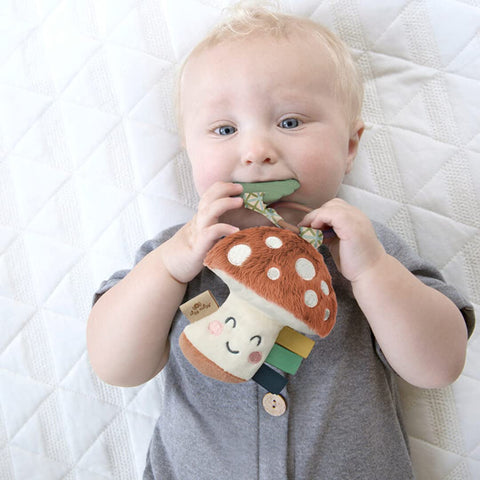 Itzy Ritzy Baby Teething Toy with Lovey, Infant Toy for 0+ Mos (Mushroom)