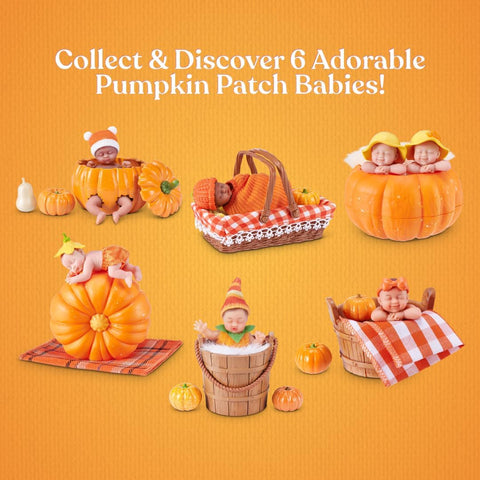 My Mini Pumpkin Patch Series 1 By ZURU