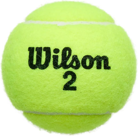 WILSON Championship Tennis Balls