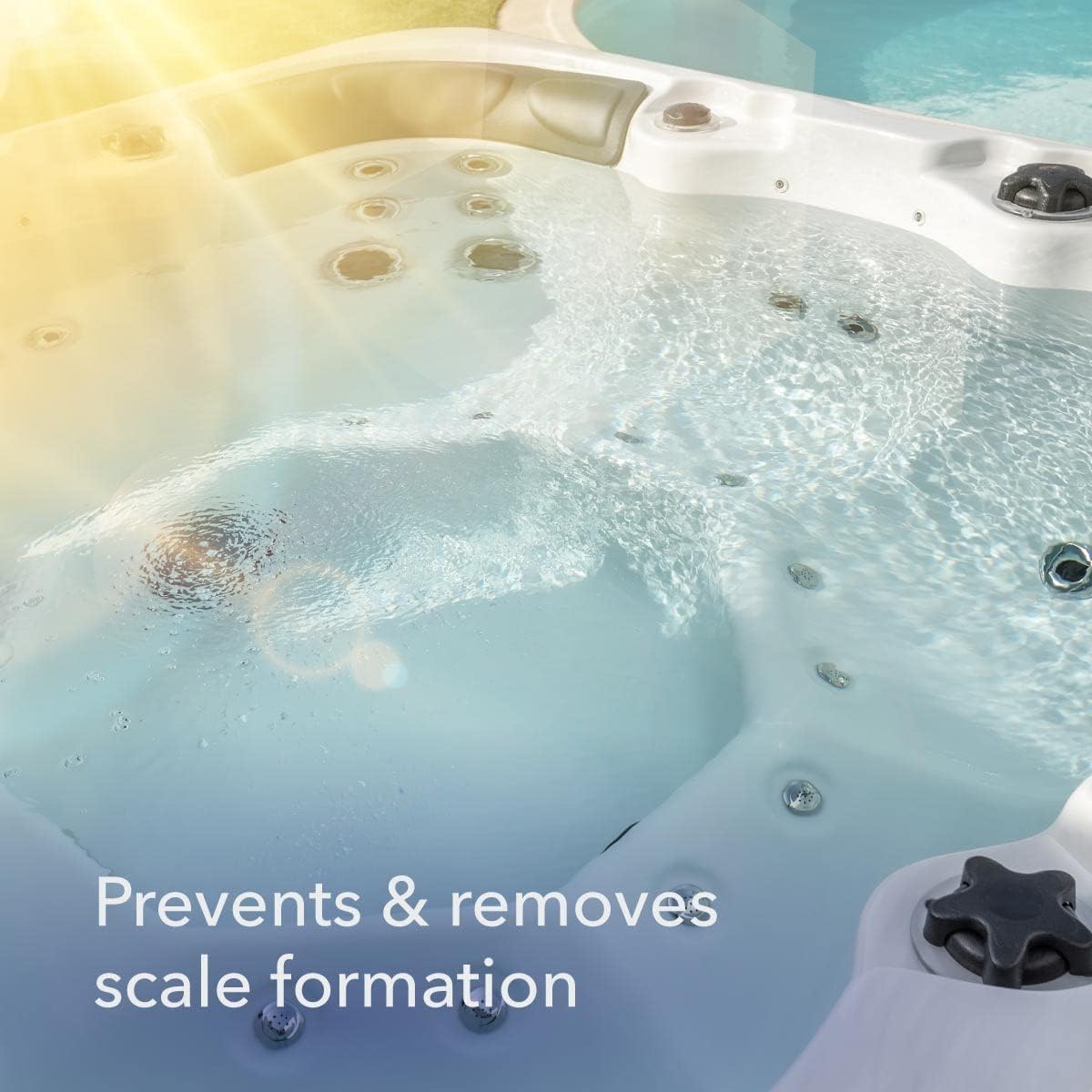 Leisure Time B, Spa Stain and Scale Control Defender, 2 lbs