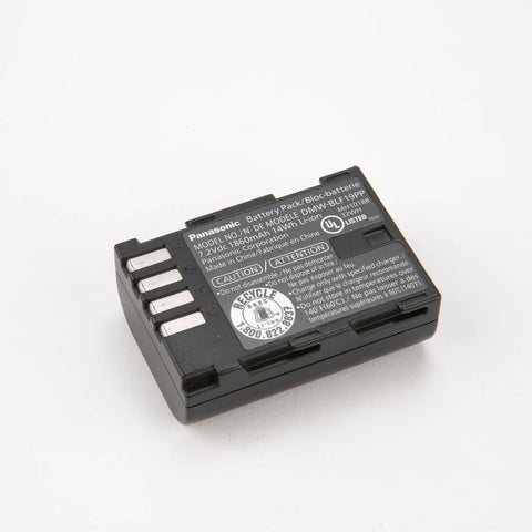 Panasonic DMW-BLF19 Lithium-Ion Battery Pack (Black)