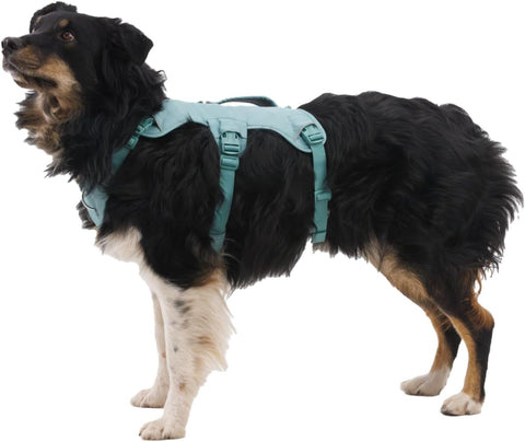 Ruffwear, Web Master Dog Body Harness, River Rock Green, Medium
