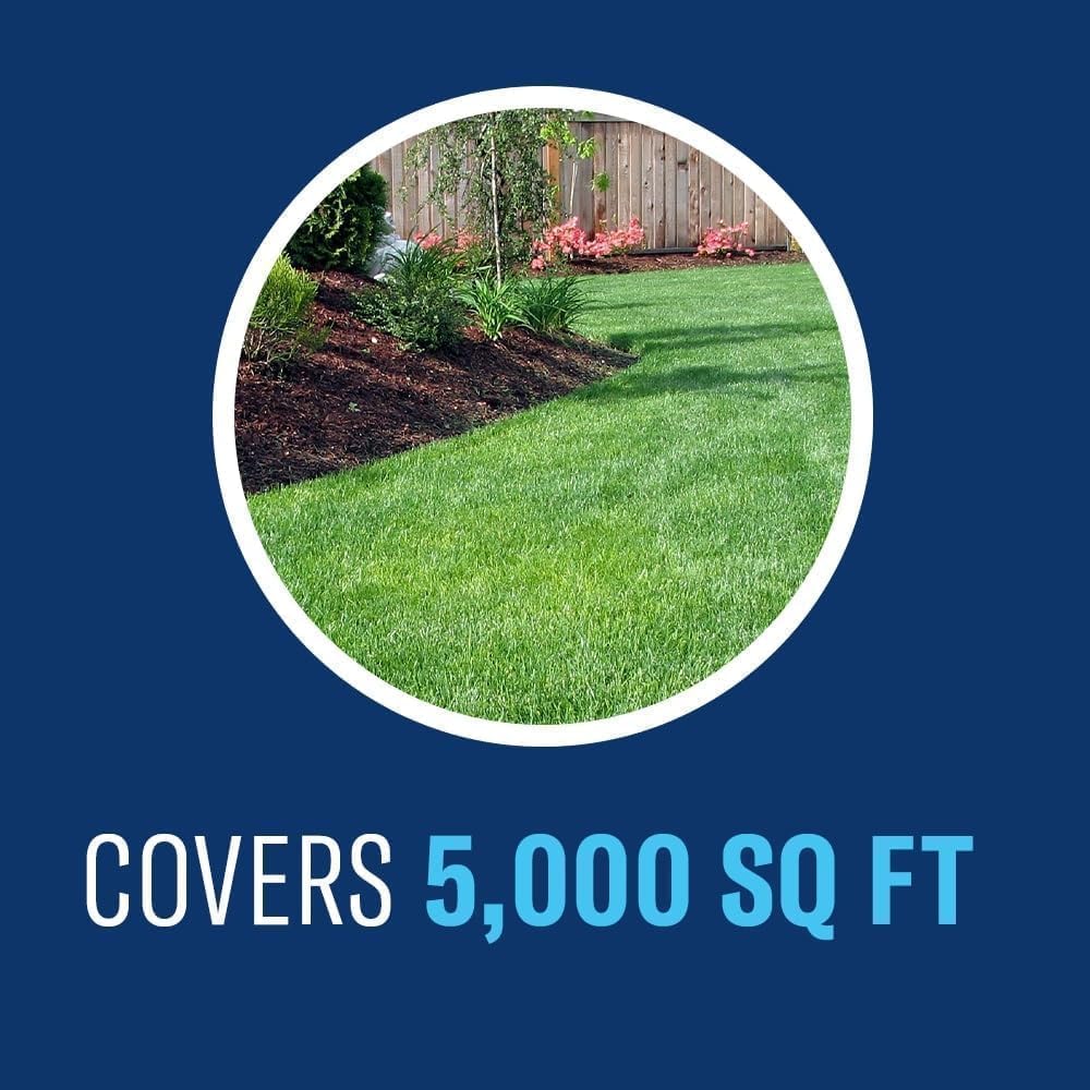 BioAdvanced Fungus Control for Lawns - 32 fl oz Bottle