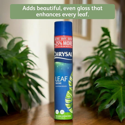 Chrysal LeafShine Spray for Indoor Plants (25oz 6 Pack)
