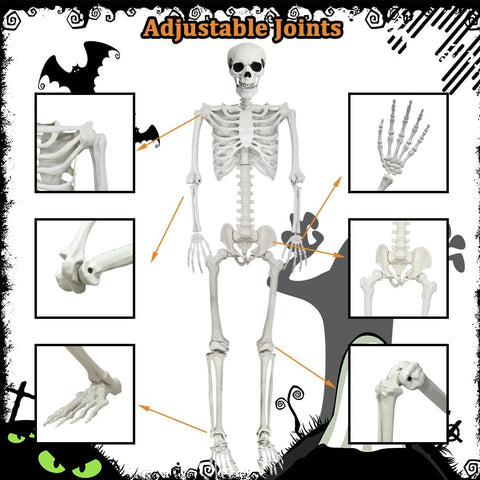 5.9Ft Halloween Life Size Skeleton with Cat for Halloween Party Decor