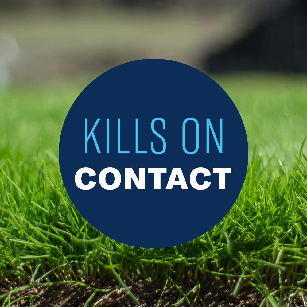 BioAdvanced All-In-One Lawn Weed and Crabgrass Killer I, Concentrate, 40 oz