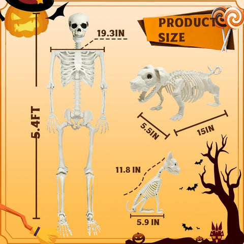 5.4ft Halloween Full Size Skeleton with Dog Cat for Haunted Party Decor