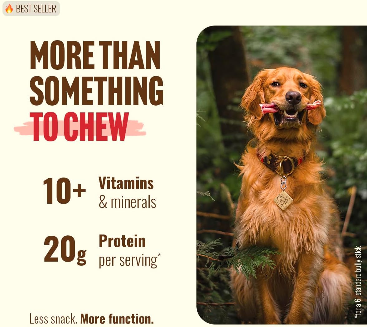 Natural Farm Odor-Free Bully Sticks (6 Inch, 25 count),1.3 lb. Bag, Fully Digestible 100% Beef Pizzle Chews,Grass-Fed, Non-GMO,Grain-Free, Natural Long-Lasting Chews for Small & Large Dogs. Pack of 25