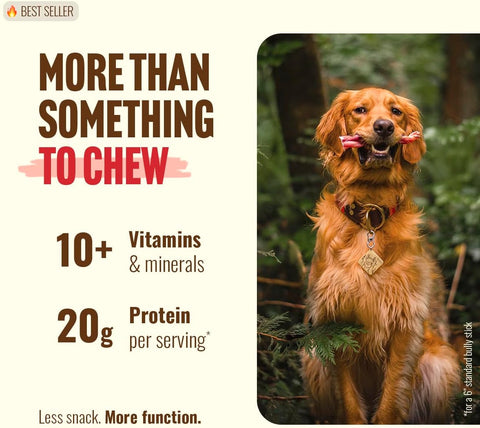 Natural Farm Odor-Free Bully Sticks (6 Inch, 25 count),1.3 lb. Bag, Fully Digestible 100% Beef Pizzle Chews,Grass-Fed, Non-GMO,Grain-Free, Natural Long-Lasting Chews for Small & Large Dogs. Pack of 25