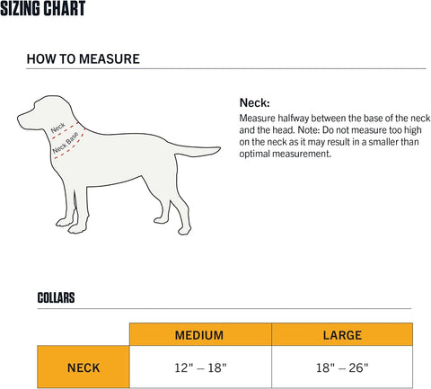 Carhartt Field Nylon Dog Collar Hunter Orange Medium
