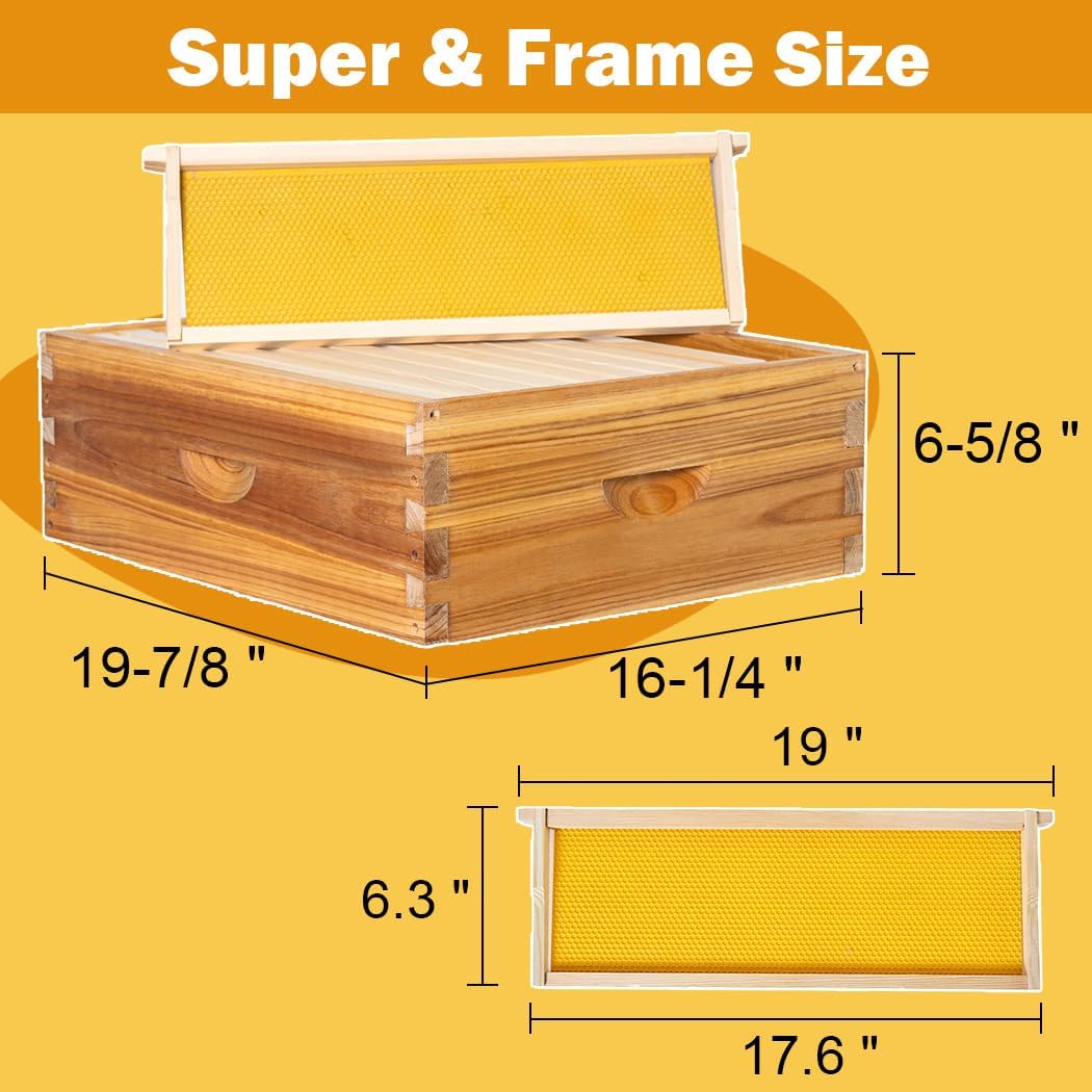 10 Frame Langstroth Beehive Kit Dipped in Heavy Beeswax Bee Hives with 1 Deep Bee Box and 1 Medium Bee Hive Box with Frame and Foundation(Unassembled)