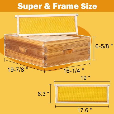 10 Frame Langstroth Beehive Kit Dipped in Heavy Beeswax Bee Hives with 1 Deep Bee Box and 1 Medium Bee Hive Box with Frame and Foundation(Unassembled)