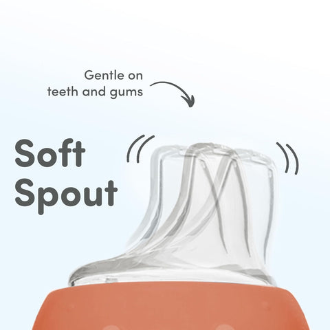 NUK Replacement Silicone Spout for Select NUK Cups, Spill-Proof, Soft Spout, Dishwasher-Safe, BPA-Free, Clear, Pack of 5